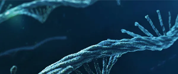 MRNA Platforms