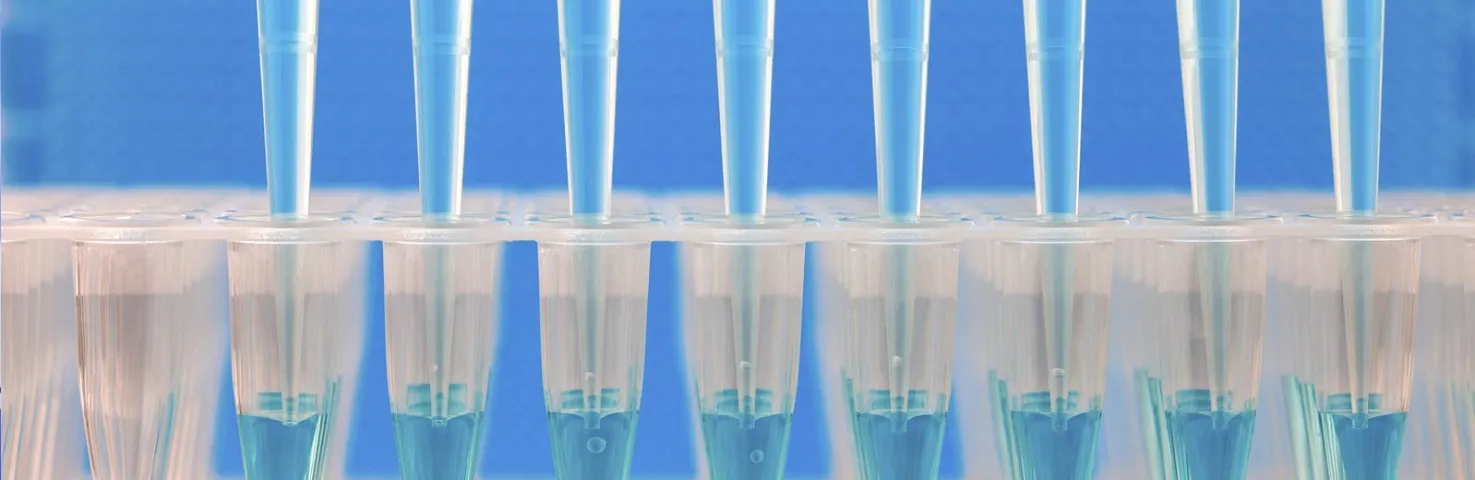 Freeze Drying / Lyophilization Service