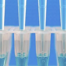 Freeze Drying / Lyophilization Service