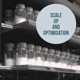Scale-Up and Optimization Service