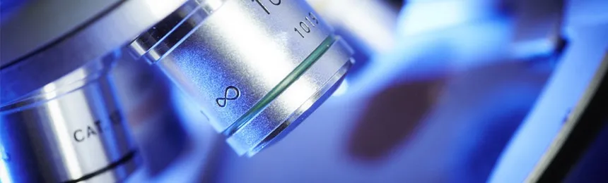Product & Process Development Service