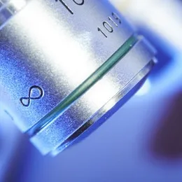 Product & Process Development Service