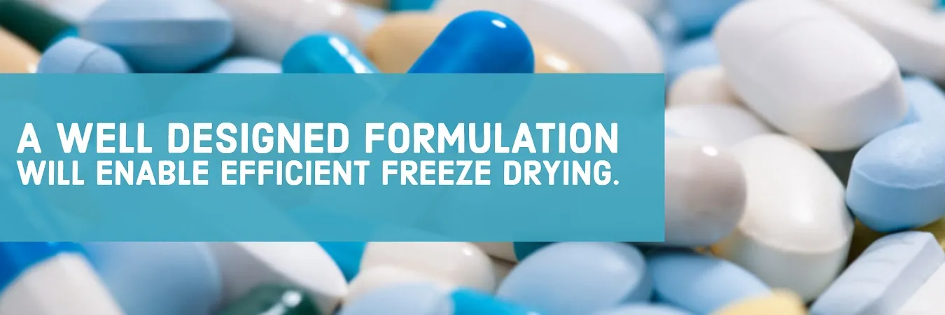 Pharmaceutical Formulation Development Service