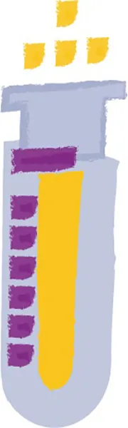 Process Development