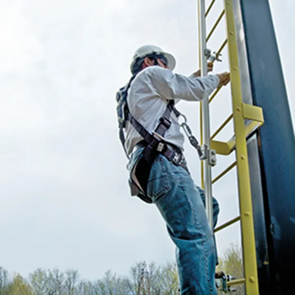 Vertical Systems Life Line