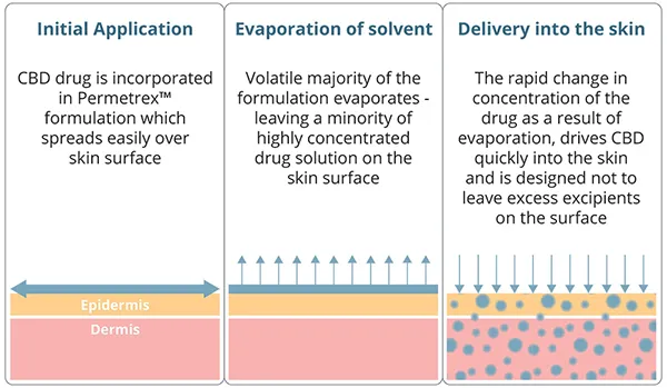 Permetrex™ – Skin Delivery Technology