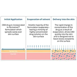 Permetrex™ – Skin Delivery Technology