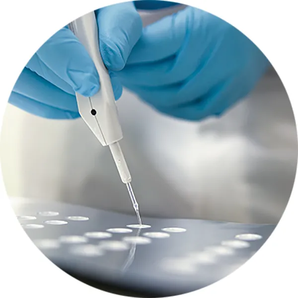 Drug Development Support