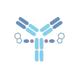 Bioconjugates