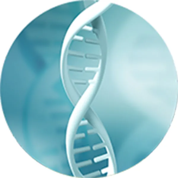 Plasmid DNA