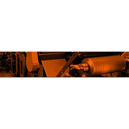 Packaging Printing