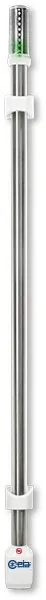 Ferromagnetic Detectors MSDW