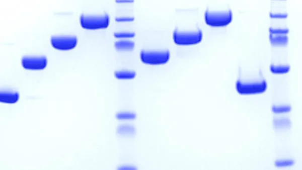 Bioconjugation