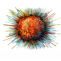 Diseased Primary Cells