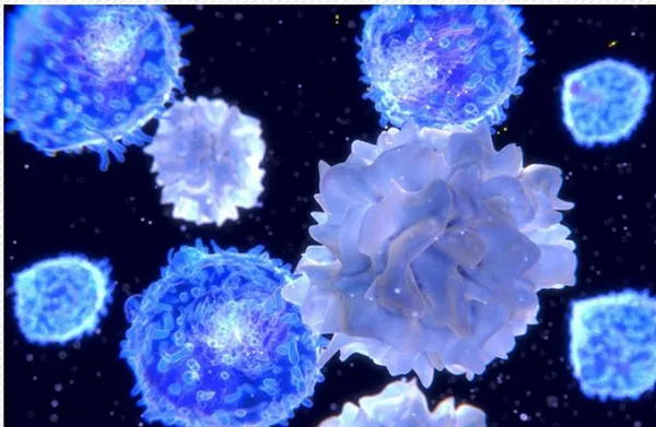 Cell Therapy