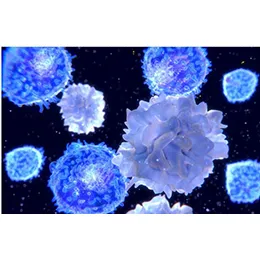 Cell Therapy