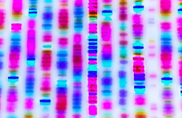 Gene Therapy Product Development