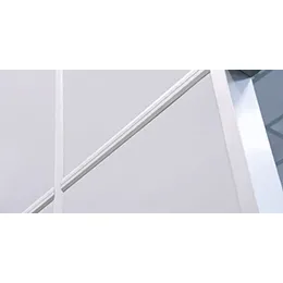 WALLS