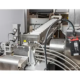 Bulk Feeding and Product Singulation System