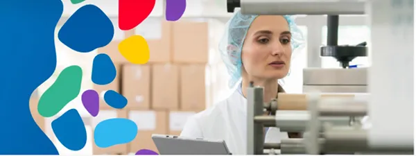 Audit & Quality Assurance
