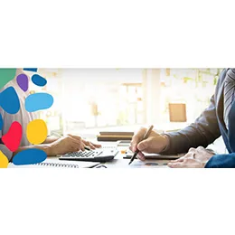 Consulting Services