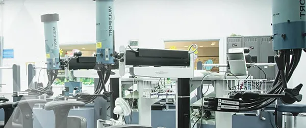 Photobiology Services