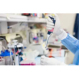 Raw Material Analysis