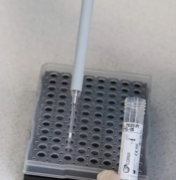 Kopaq Injection Collection and Transport for Molecular Diagnostics