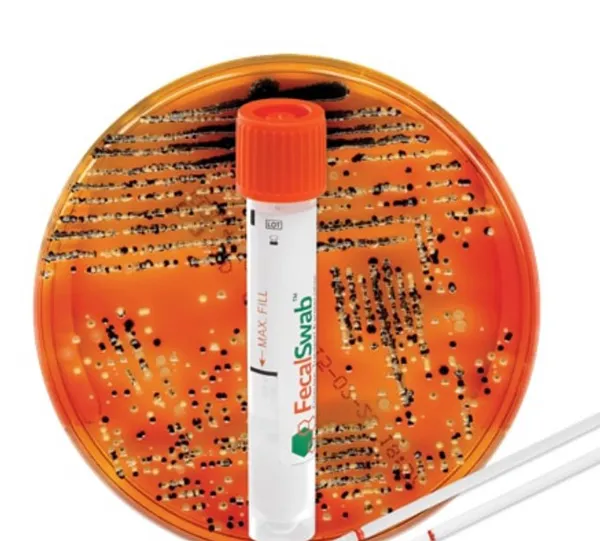 Sample Collection and Preservation System for Enteric Bacteria