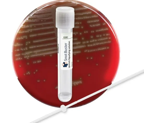Sputum Liquefying System