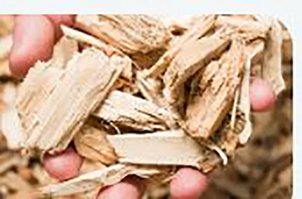 Alternative feedstock