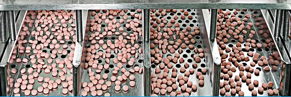 Veterinary Oral Formulation