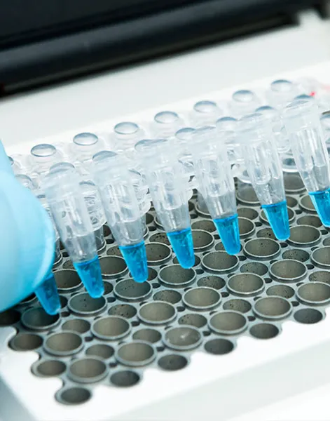 Preformulation