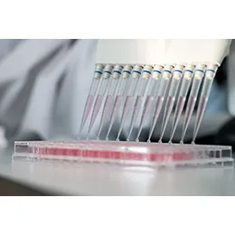 Gene therapy product