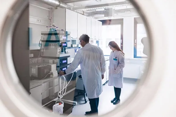 Antibody or related product