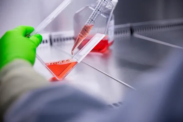 Cell therapy