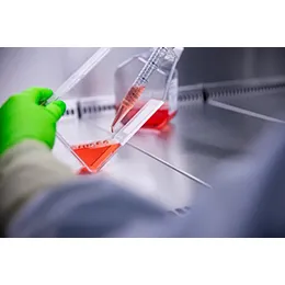 Cell therapy