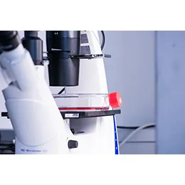 Advanced therapy medicinal products (ATMPs)