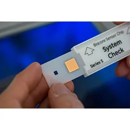 Functional assays
