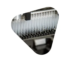 Deep Shotgun Sequencing