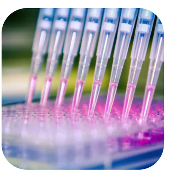 Sample Processing