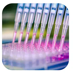 Sample Processing