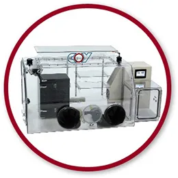 Gloveless Anaerobic Chamber