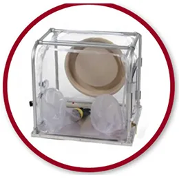Vinyl Glove Boxes