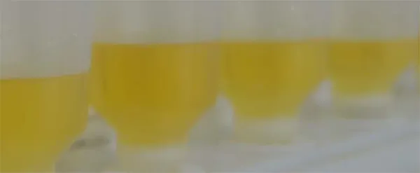 Chelating Peptides
