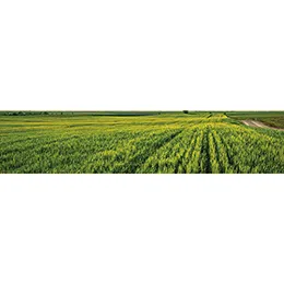 Agricultural