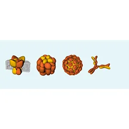 Proteins
