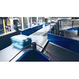 Baggage Handling System