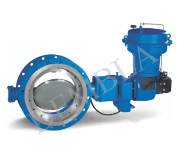 Double Offset Butterfly Valve
