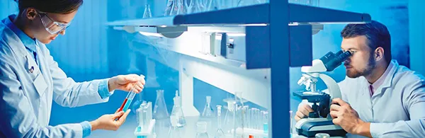 Formulation development